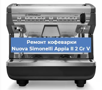 Ремонт капучинатора на кофемашине Nuova Simonelli Appia II 2 Gr V в Воронеже